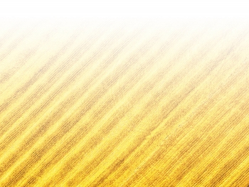 智能農(nóng)機(jī)、“訂單”服務(wù)、“云端”種菜——來自江西的春耕“新事”